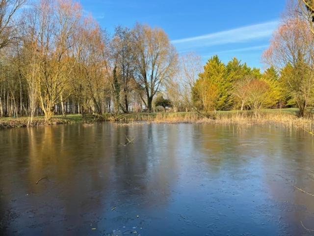 Avrillé-les-Ponceaux La Marelle Bed & Breakfast エクステリア 写真