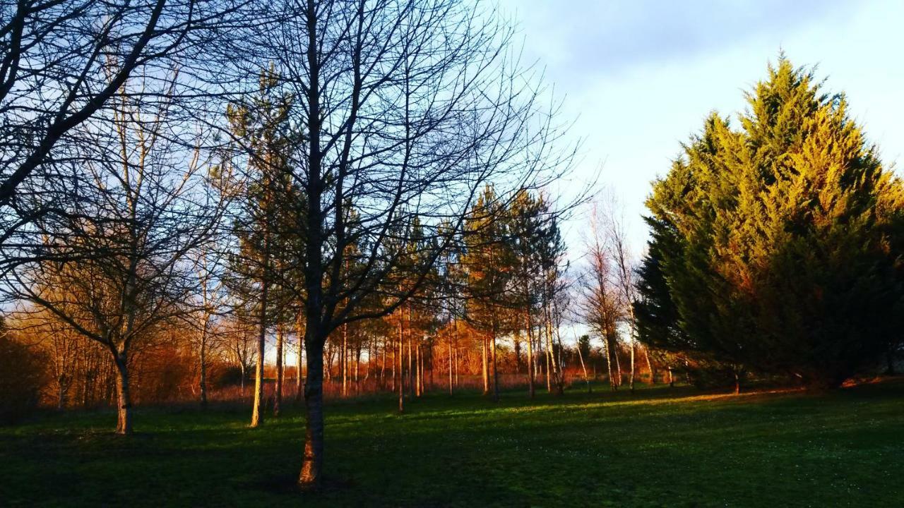 Avrillé-les-Ponceaux La Marelle Bed & Breakfast エクステリア 写真